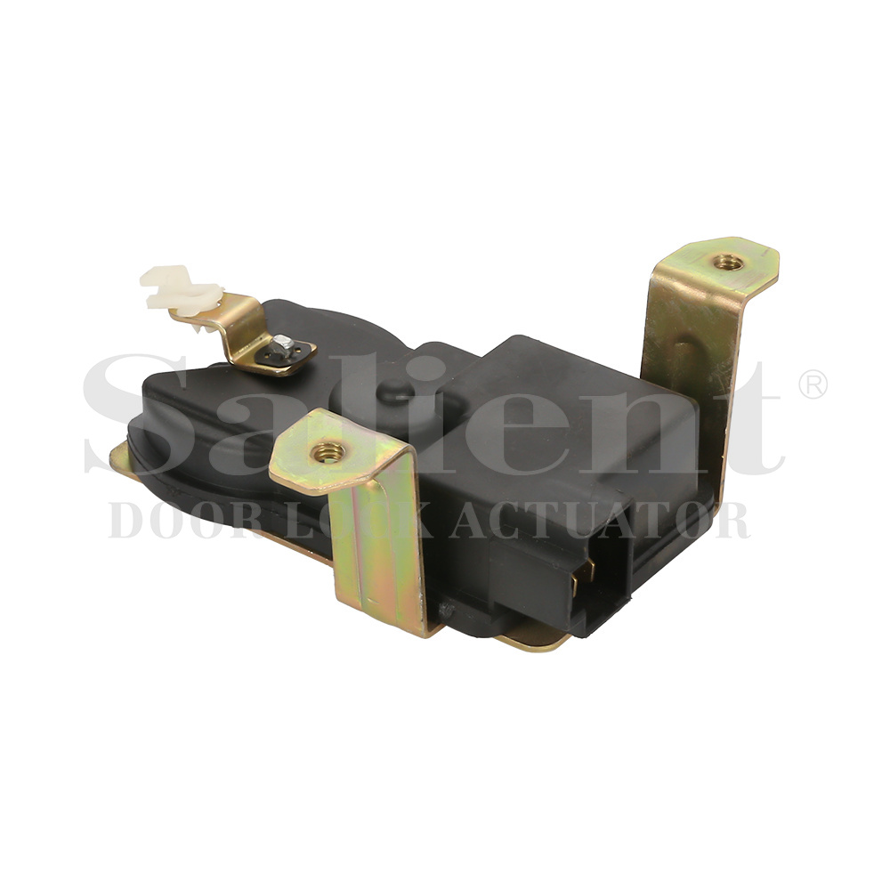    CB669753-A   MB669753 (Tergum sinistrum)    