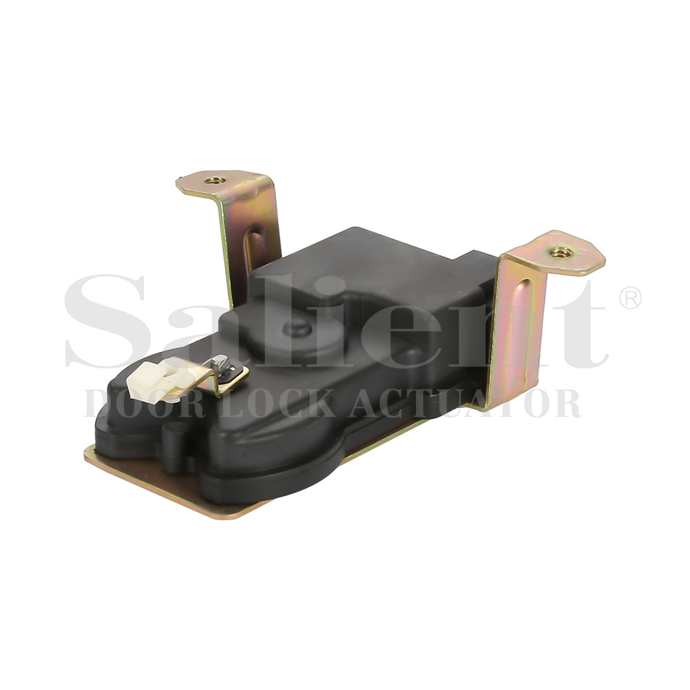  CB669754-A   MB669754(Tergum dextrum) 
